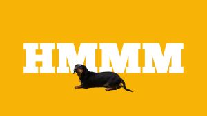 Snack Cho Chó Bánh Thưởng Giòn Tan PEDIGREE TASTY BITES Crunchy Pocket 60g – Lido House Shop & Hotel