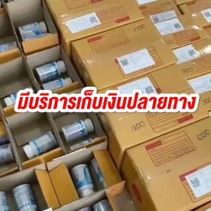 Yanhee Ultimate L-Carnitine ยันฮี อัลติเมท แอลคานิทีน  ซื้อ2 แถมฟรี2 เซ็ตนี้ทานได้ 2 เดือน  สูตรบล็อคไขมันจากยันฮี