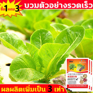 3วันหยั่งราก ยาเร่งราก, พืชทุกชนิด ผงเร่งราก, ผงเร่งรากพืช เร่งราก เรียกราก ช่วยให้พืชแตกรากได้ดี น้ำยาเร่งราก