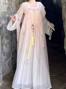 New Chinese Style Reformed Version Womens Hanfu Dress Embroidered Daily Wear Spring Autumn Tang Dynasty Elements Long Skirt