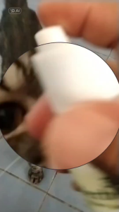 ป้องกันยุง เหลือบ แมลงวัน ใช้ได้ทั้งคนและสัตว์ สมุนไพร 100 เปอร์เซ็นต์