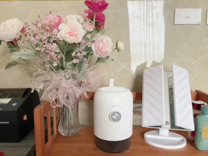 Máy hút ẩm 300ml MYTEM Rooming Dehumidifier ( Hàn Quốc )
