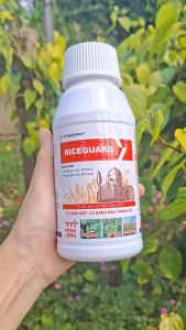 [TRUNG THIEN THINH] Diệt cỏ RICEGUARD 40 OD (1 Chai 500ml) – Giải pháp kiểm soát cỏ hậu nảy mầm trên ruộng lúa
