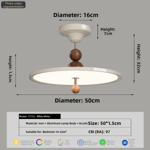 DGY | Vintage Luxury Minimalist Bedroom Ceiling Light