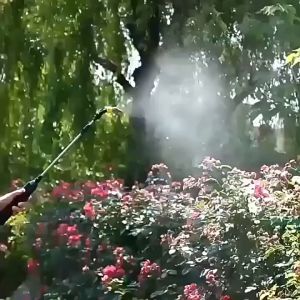 Điện&Hướng dẫn sử dụng Spray Rod Với Switch Spray Tank Hose Rod 3 mét Bình thường Điện+Súng phun