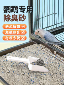 นกแก้วพิเศษขยะนกกำจัดกลิ่นอุจจาระ 10 ปอนด์แผ่นกรง สีทราย อุปกรณ์เพาะพันธุ์นกพิราบอาหารสัตว์เลี้ยงและอุปกรณ์