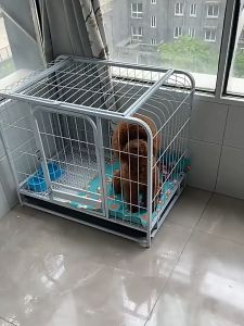 Dog Cage For Medium And Large  Square Tube Dog Cage W/ Tray Wheels And Skylight Double Door