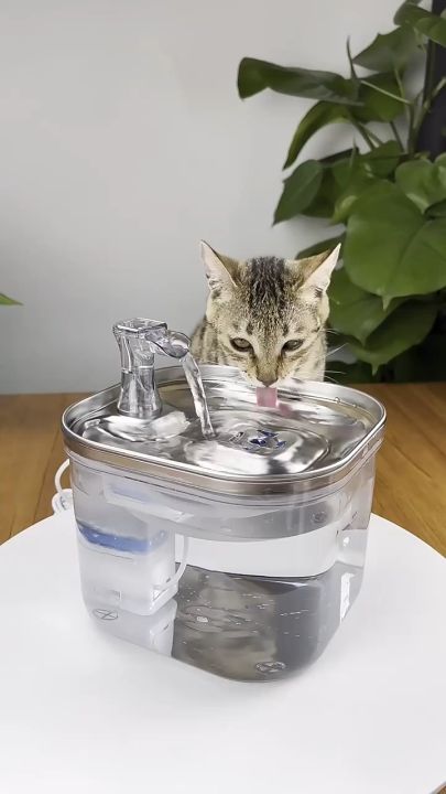Stainless Steel Outdoor Cat Fountain Stainless Steel Cat Water