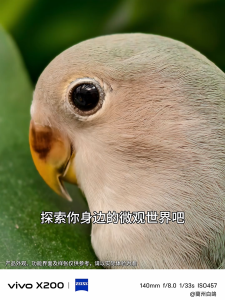 2025 New Original ViVO X200 Pro Series 5G Smartphone|Ultra Sensing ZEISS Camera Dimensity 9300+| 120W FlashCharge 5400mAh BlueOcean Battery | Astro Night Mode AI Imaging System|ViVO phone|ViVO X200|ViVO X200 mini