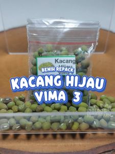 Benih Kacang Hijau Vima 3 Unggulan Berkualitas biji bibit repack tanah merah hydroponik hidroponik tanaman ijo berbiji pot
