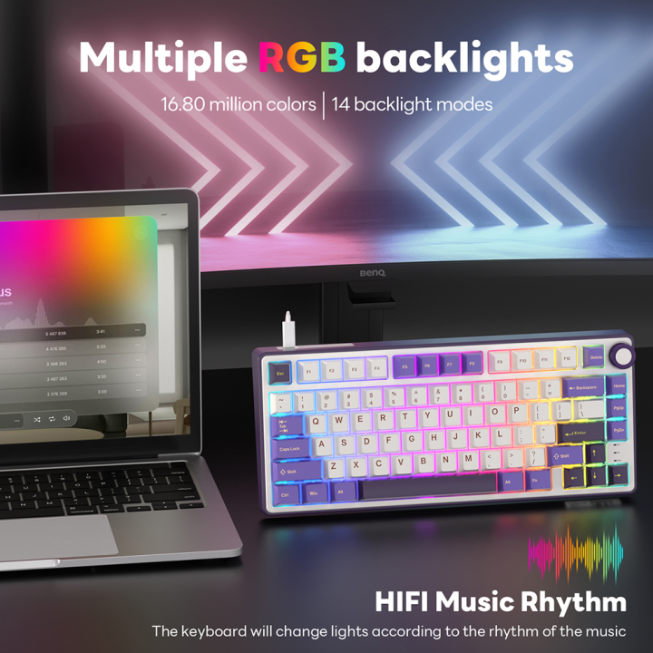 【Local Delivery】RK Royal Kludge R75 Wired Mechanical Keyboard MDA ...