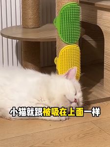 Sisir Sikat Serbaguna Untuk Kucing Anjing Pet Grooming Hewan Peliharaan