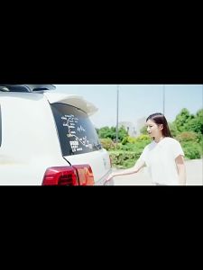 Foldable Shopping Cart 55L/4W/8W/85L/4W/8W/25kg/40kg Capacity 360°  wheels New 2024 Arrive Brand Hong Kong Premium Grade Ready Stock