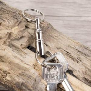 Key Ring Easy Detach Double Spring Split Snap Seperate Keychain-Silver