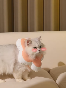 PS-1304 คอลล่าลายดอกไม้ 🌼 ช่วยป้องกันสุนัขและแมวเลีย แทะ หรือเกาแผล 🩹💖 ขนนุ่ม สวมใส่สบาย ไม่รบกวนการกินและดื่ม ทำความสะอาดง่าย ใส่ได้ทุกวัน เพิ่มความคิวท์ด้วยลวดลายสวยงาม 🌸🧸