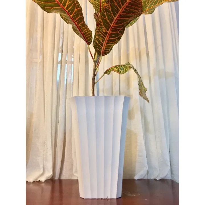 Tall%20Square%20Shell%20Pot%20White/Orange%20V-2%20(8%20Inches%20x%2012%20Inches)%20Best%20for%20Indoor%20Outdoor%20and%20Rare%20Plants%20-%20Image%202