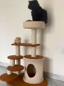 Pohon kucing Kayu Asli Cat Tree Tower Cat Condo Rumah Box Kucing Dan Tiang Garukan Panjatan Kucing Rak Panjat Kucing Rumah