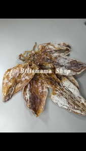 100G Sotong Kering Besar Dried Cuttlefish Premium GRED A Sotong Kering Terengganu Dried Squid Dried Sotong Kering