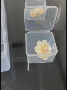 18 Grid Transparent Plastic Storage Box Large Capacity Bead Storage Box Jewelry Accessory Packaging Box