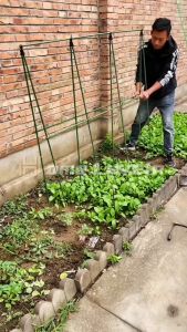 ชั้นวางดอกไม้ระเบียง สำหรับไม้อวบน้ำ ชั้นวางกันฝนและกันแดด โครงปลูกผัก เหล็กเคลือบพลาส หนา16มม. กระกางต้นไม้ ไม้ค้ำต้นไม้ DIY เสามะเขือเทศ