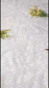 Toner AHA Sr12 Exfoliating Toner Mengangkat Sel Kulit Mati Face Toner Bpom Aman Bumil Busui