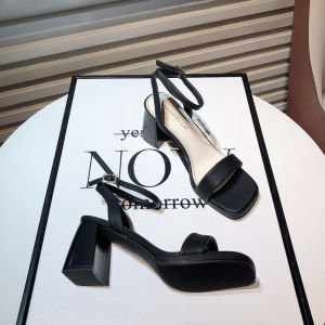 Fairy Style Chunky Heel Sandals 2024 New Arrival Summer Minority Simple Easiest for Match Buckle Strap Square Toe Open Toe High Heels