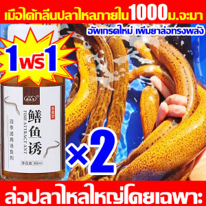 ล่อปลาไหลใหญ่ ปลาไหลไม่ได้กลิ่นมาเป็นฝูง หัวเชื้อปลาไหล 1 ดักปลาไหล ราคาสามารถเตรียมได้ในความยาวนาน เชี่ยวชาญในราชาปลาไหลเหยื่อปลาไหล