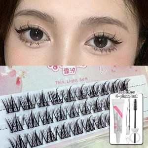FAICCIA | Three-step Natural Single Cluster False Lashes