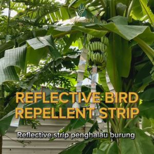 Reflective bird repellent ribbon film and strip Reflektif penghalau burung pokok penghalau burung luar 驅鳥神器 SHS Kebun