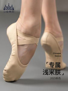 Giày Khiêu Vũ Cổ Điển Cho Nữ Giày Khiêu Vũ Mềm Màu Hồng Và Màu Da Giày Khiêu Vũ Ballet Tập Luyện Cho Người Lớn Và Trẻ Em