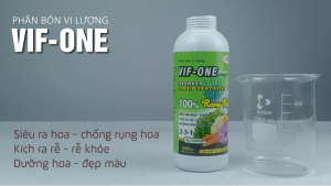 VIF-ONE - Phân bón rong biển chai 1 lít