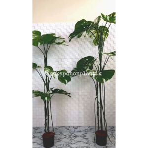 Pohon Artificial Pohon Hias Monstera Variegata T170 & T190 Latex Pot Dasar Hitam Plastik Dekorasi Rumah