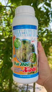 Phân Bón Lá Cao Cấp PVM 1 VỌT HOA XOÀI – Nhiều Hoa Hoa Sáng Đẹp Dưỡng Bông Dưỡng Trái Non Tăng Đậu Trái Tối Đa (Chai