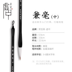 RongBaoZhai Calligraphy Beginner Kit Stationery Four Treasures Practice Paper Blank Grid Water Writing Cloth Primary School