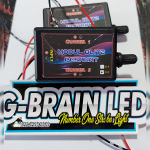 modul pesawat 2 channel 12v 24v watt besar