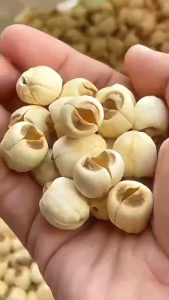 เม็ดบัวอบกรอบ ขนาด 130g 260g 500g บรรจุในถุงซิปล็อค สะดวกในการเก็บรักษา จัดส่งรวดเร็วทั่วประเทศ พร้อมทาน