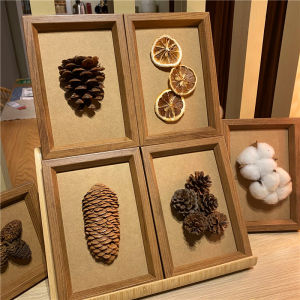 Creative Taxidermy Painting 3D Decoration Natural Dry Fruit Preschool Wall Decor Frame Mounted Plant Floral Collage Craft