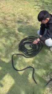 25FT/50FT/75FT/100FT High Pressure Car Washing Hose Expandable Magic Hose Garden Watering Telescopic Pipe Hose Flexible Water Hose Water Pump Set Watering Tool