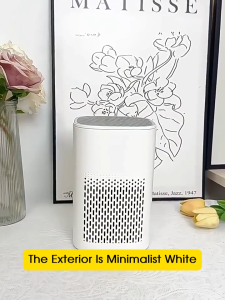 Rechargeable Mini Air Purifier H13 HEPA Activated Carbon Filter Remove Formaldehyde Smoke Pet Odor PM2.5 For Home Office