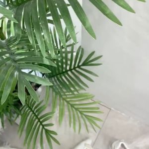 พร้อมส่งจากไทย(มาใหม่ล่าสุด)NO.Q125 รองเท้าผ้าใบผู้หญิง ด้านล่างหนาลื่นรองเท้าผ้าใบแฟชั่น เสริมส้น 8.ซม. มี  สีดำ/สีชมพู