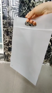 TÚI ZIP LỤA CPE QUAI XOÀI CAO CẤP – ĐÓNG GÓI SANG TRỌNG TIỆN LỢI