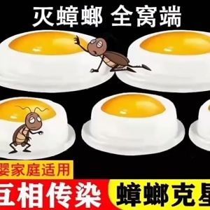 #ยาฆ่าแมงสาบตายยกรังแบบเหยื่อล่อปลอดสารพิษ หมดปัญหากับแมลงสาบในบ้าน  จะไม่มีแมลงสาบมากวนใจคุณอีกต่อไป