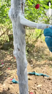 Tree Whitewash Paint for Fruit Trees and Saplings Anti Insect Freeze Protection Coating for Garden Bonsai Landscaping LA3PF-CHI-PH