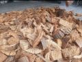 1 kg vỏ dừa cắt nhỏ trồng cây.. 