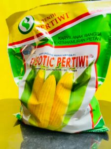 Benih jagung manis exsotic pertiwi isi 1750 butir randemen tinggi dan tahan bulai.