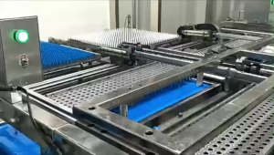 แคปซูลเปล่าเจลาติน สีชมพู เบอร์ 00 750 มก 1ห่อ บรรจุ 1000 แคปซูล #แคปซูล #แคปซูลเปล่า #แคปซูลพืช #แคปซูลเจลาติน