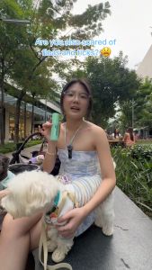 Gentle Paws Anti-Ticks & Flea Spray Protect Me Spray For Dogs & Cats Plant-Based Lick Safe