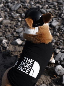 Pet Breathable Sleeveless Vest Spring Summer Anti-Loss Hair Fat Dog Shaving Sun Protection Clothes Trendy Sport T-Shirt Corgi