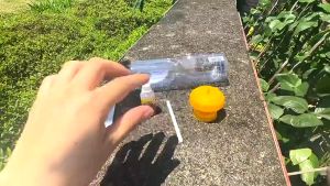 5PCS Perangkap Lalat Buah Drosophila Bahan Plastik Warna Kuning 6x6x2CM Fruit Fly Trap