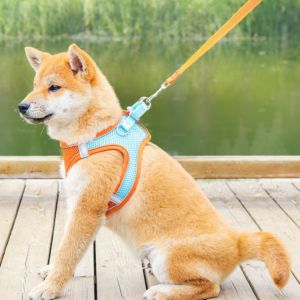 Dog Cat Walking Jacket Harness Vest Type Cats and Dogs Chest Harness Breathable Reflective Traction Rope for Dog Walking [HATELI]